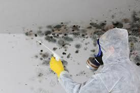 Best Comprehensive Air Testing for Mold Contaminants  in Adrian, MI